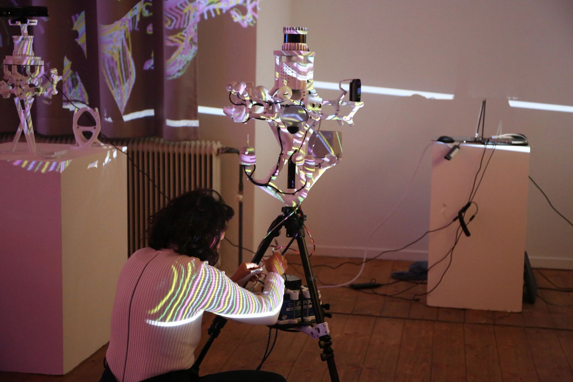 Vibrant Fields at Zentrum Fokus Forschung (2024)