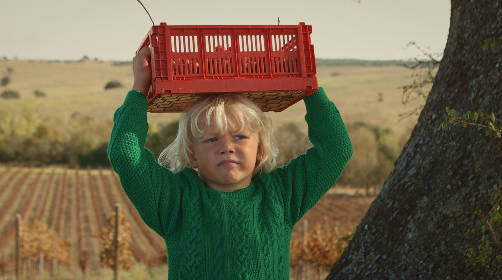 Lifestyle / Commercial — video 10