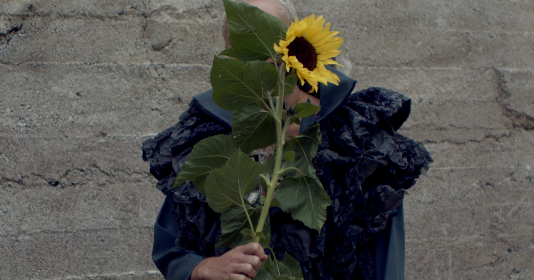 Fashion — video 7