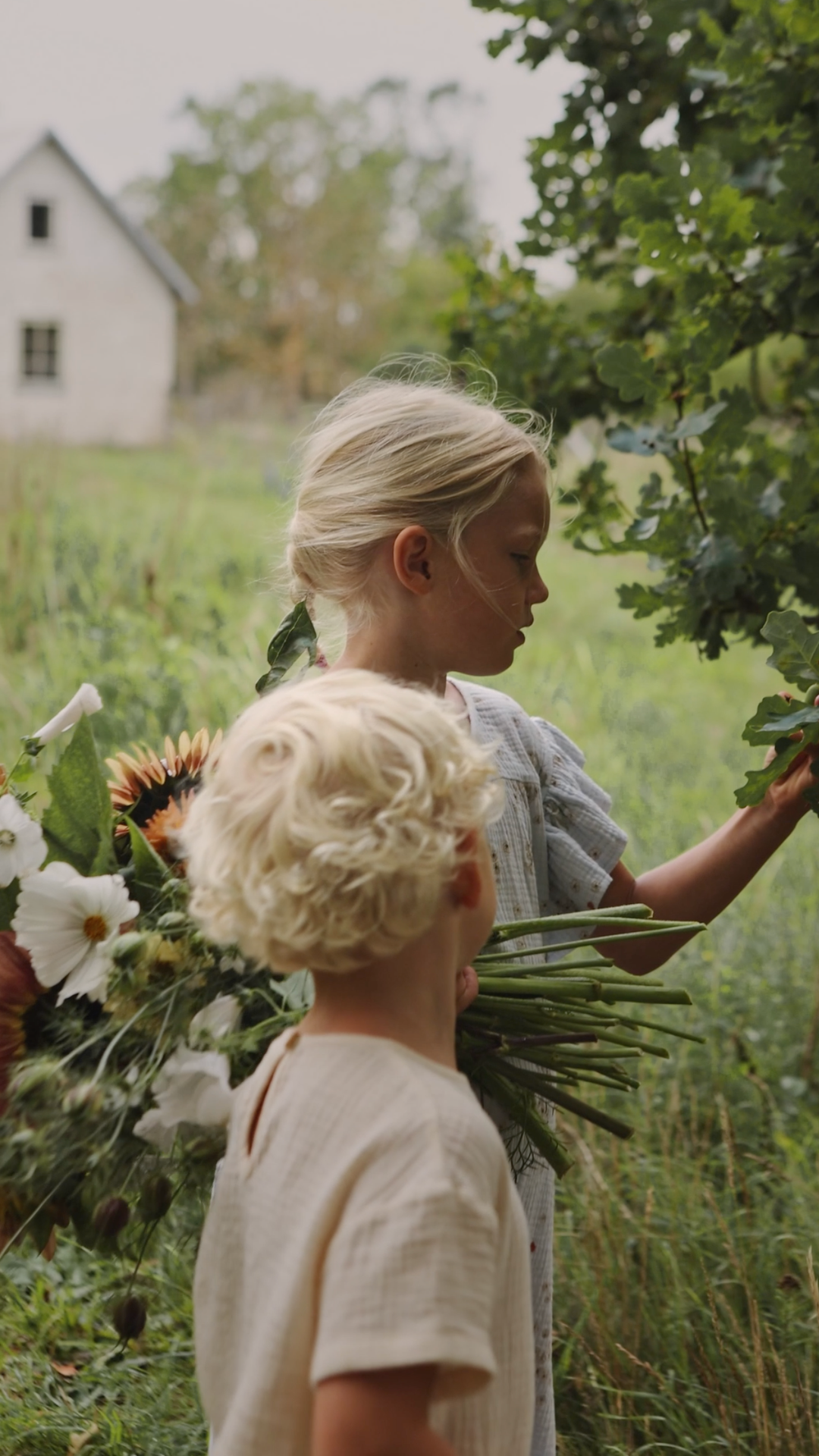 Lifestyle / Commercial — video 21