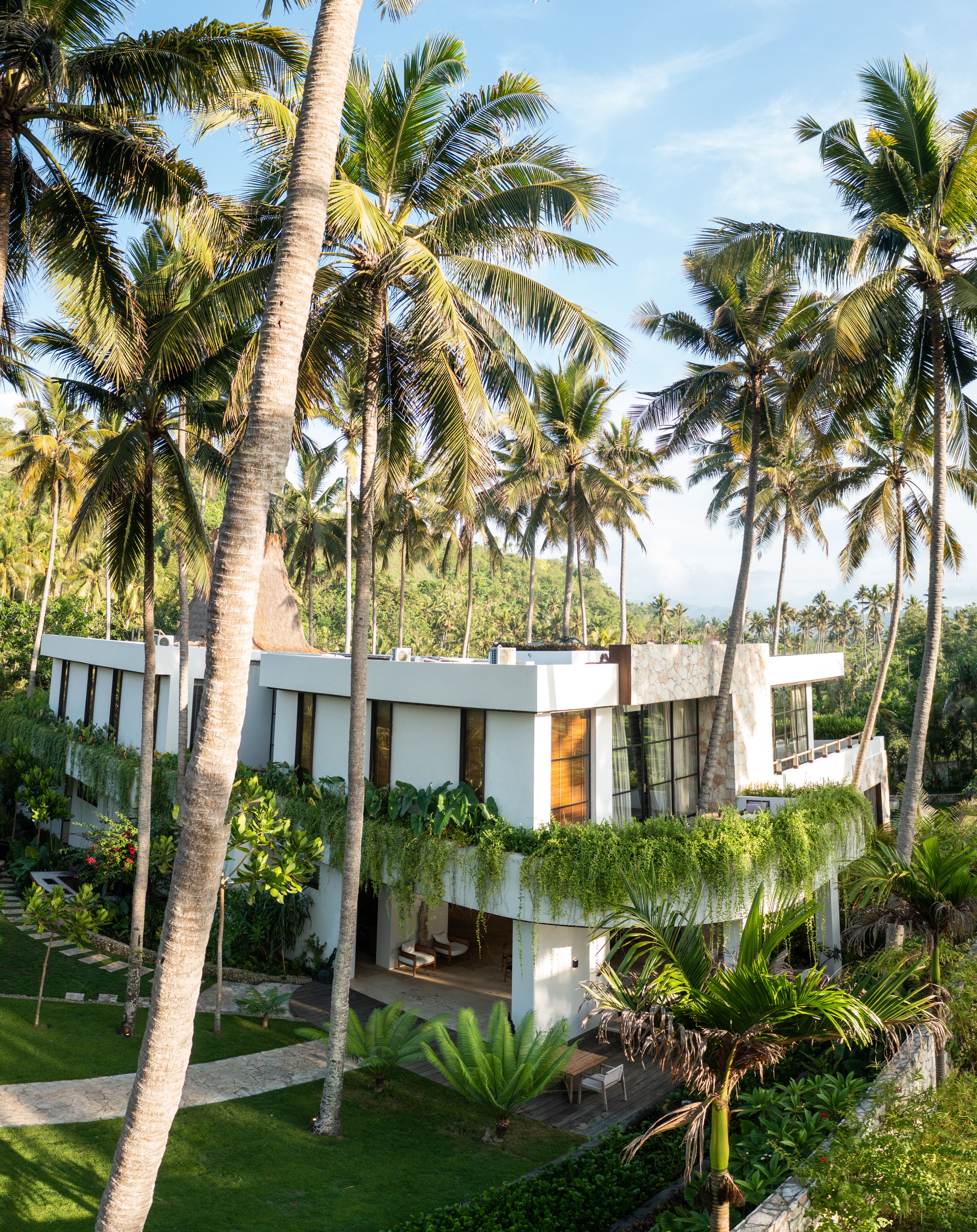 Water Buffalo with Shepard in front of Alamayah Sumba