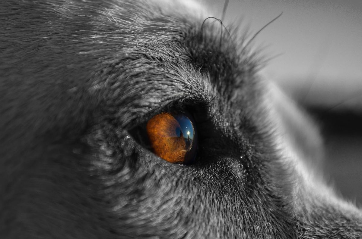 Featured image for How We Do Business – Part 5: Loyalty