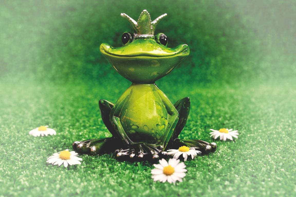 Featured Image