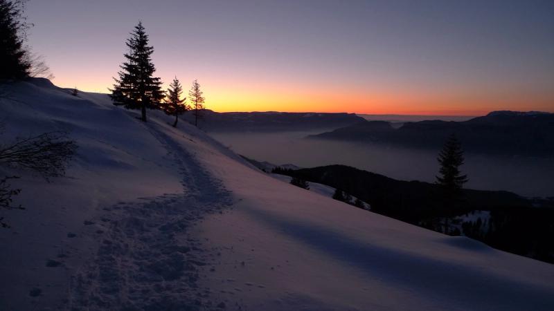 Pendant Automation Diary – Winter Solstice Thoughts