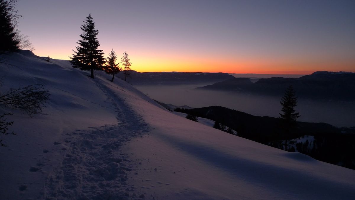Featured image for Pendant Automation Diary – Winter Solstice Thoughts