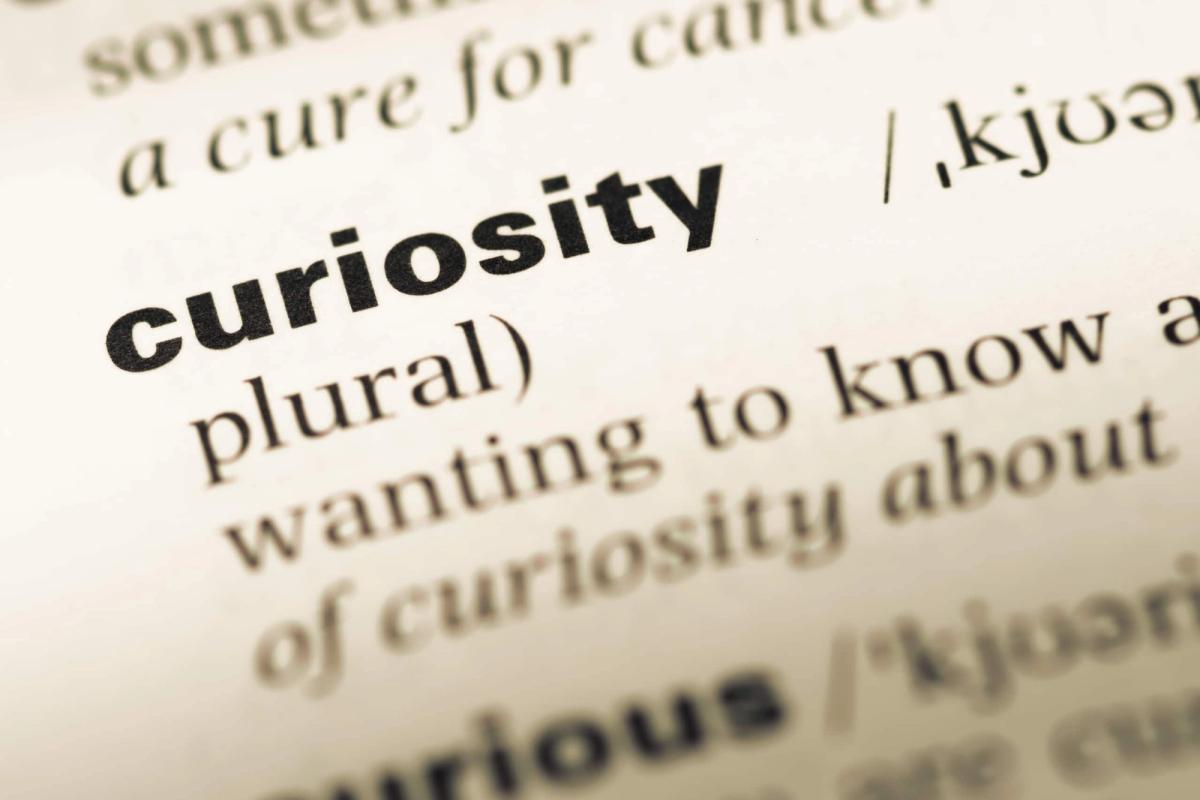 Featured image for Inc 5000 Part 2 – No Cure for Curiosity