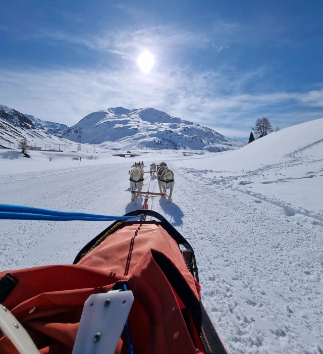 Ich auf dem Schlitten