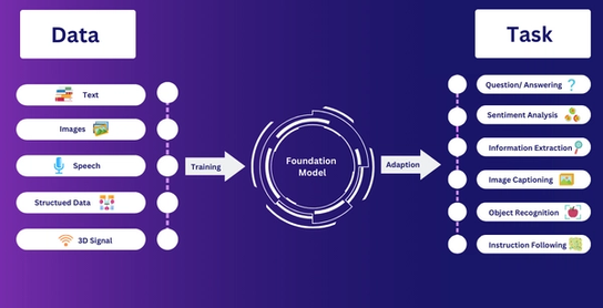 The Evolution of Foundation Models