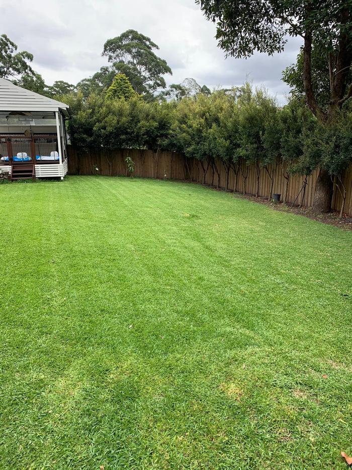 Gardens we have cared for — DMCS Lawn Services, photo 7