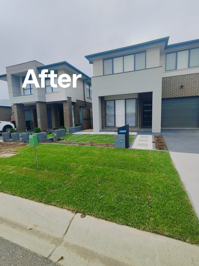 Front yard — new lawn — after