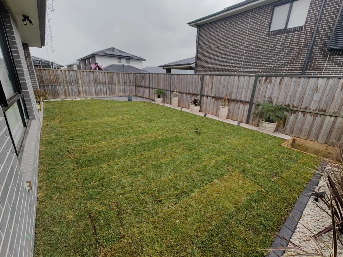 Backyard — fresh turf — after