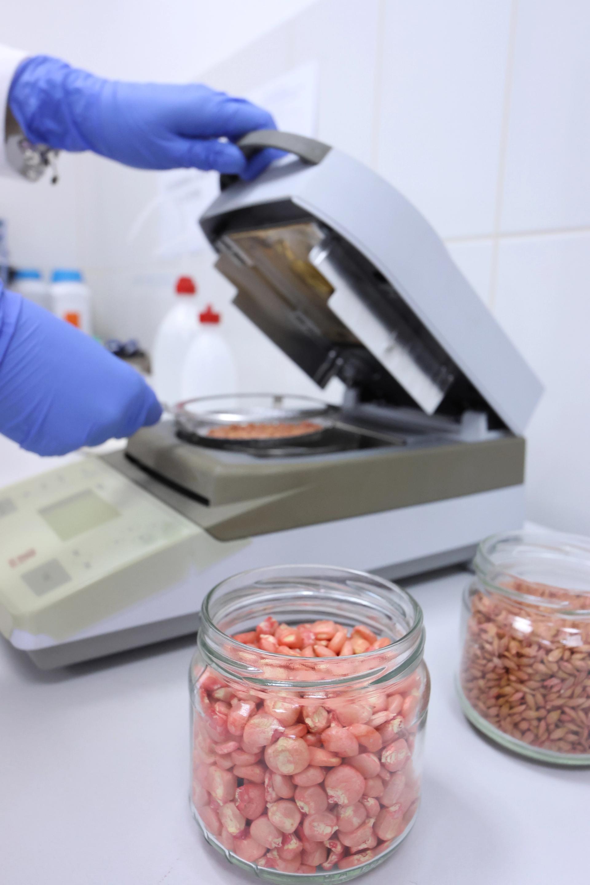 Laboratorije Instituta