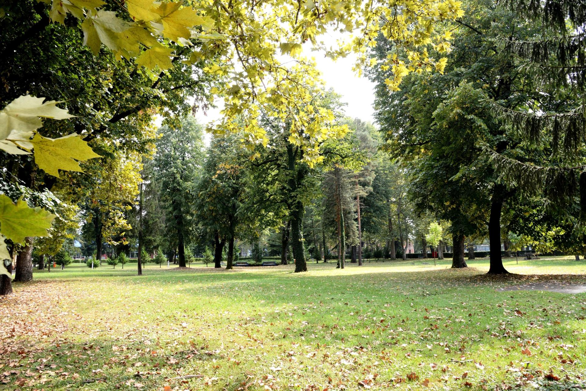 park