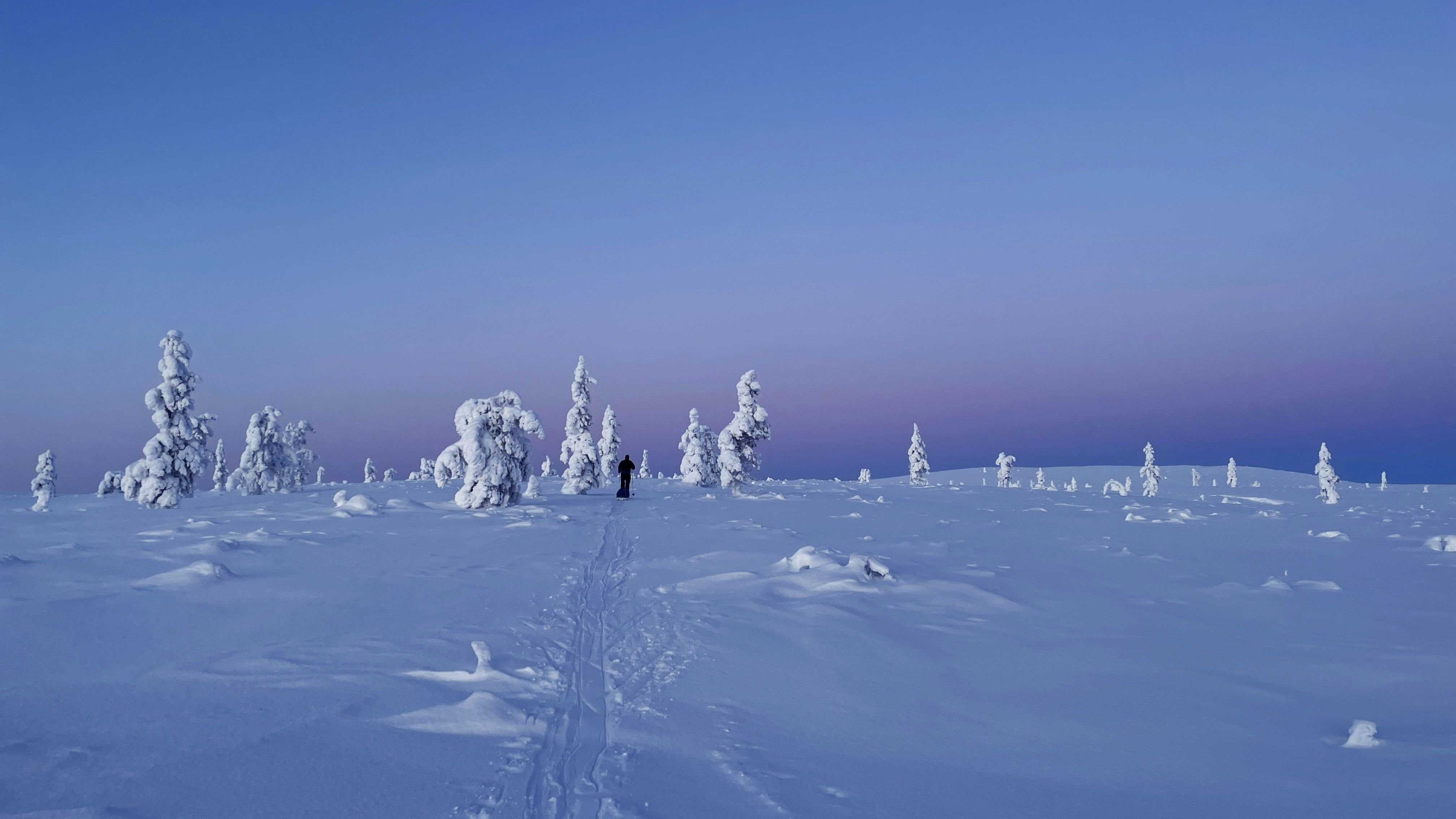 Paisaje nevado de Laponia Sueca con bosques de abedules y cielo crepuscular