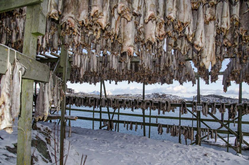 La gastronomía de las Islas Lofoten