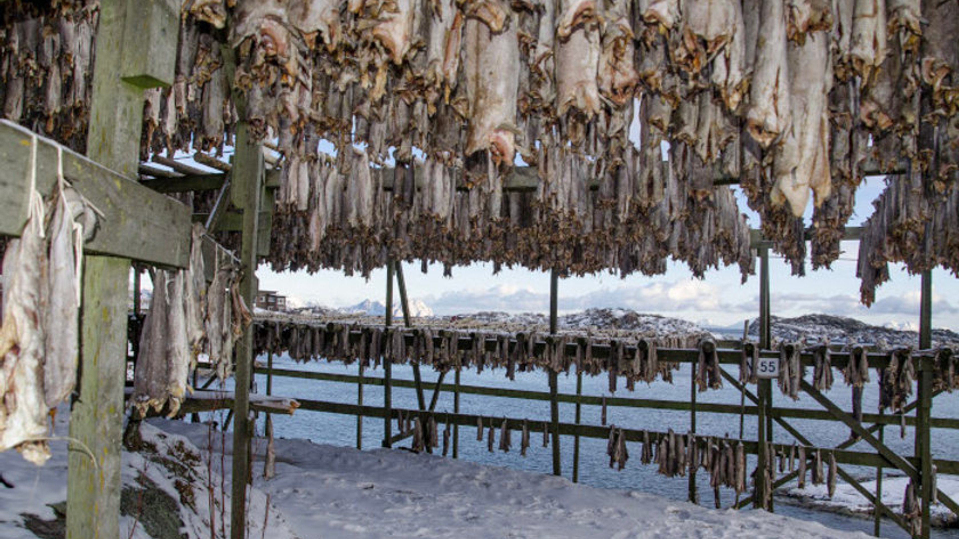 La gastronomía de las Islas Lofoten