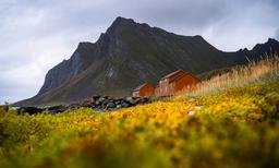Otoño en las Lofoten