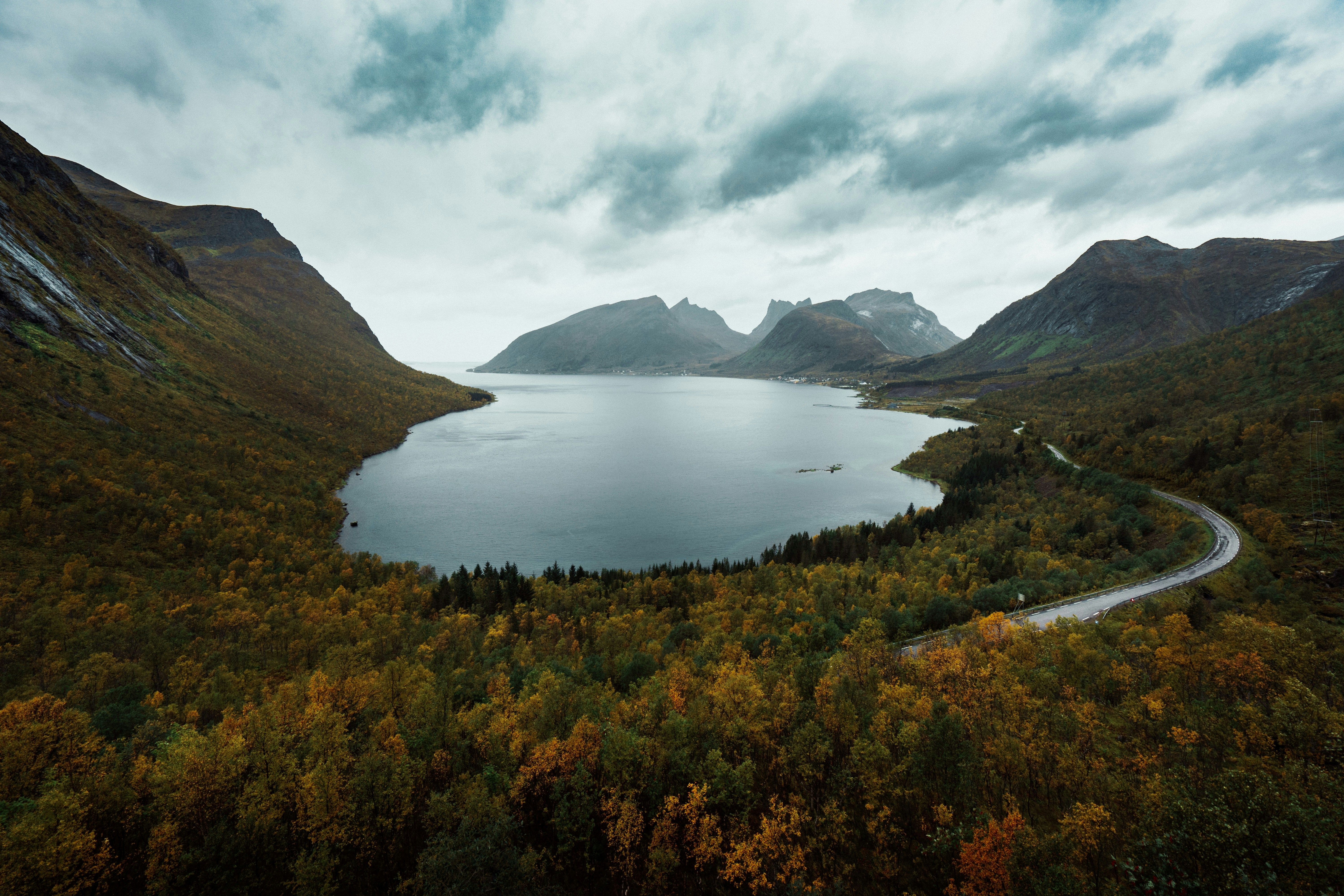 Carretera escénica de Lofoten con colores de otoño y montañas; ambiente diurno