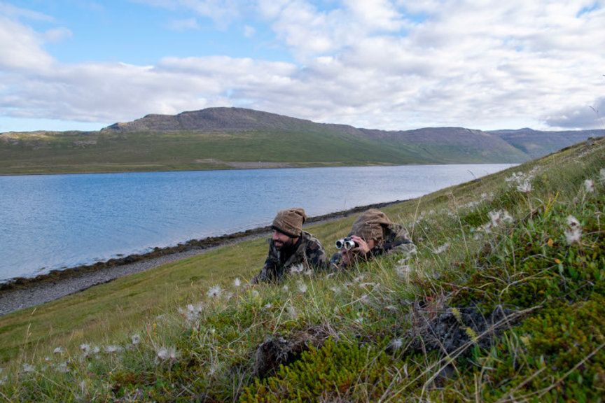 Diario de nuestro viaje a los fiordos del oeste de Islandia
