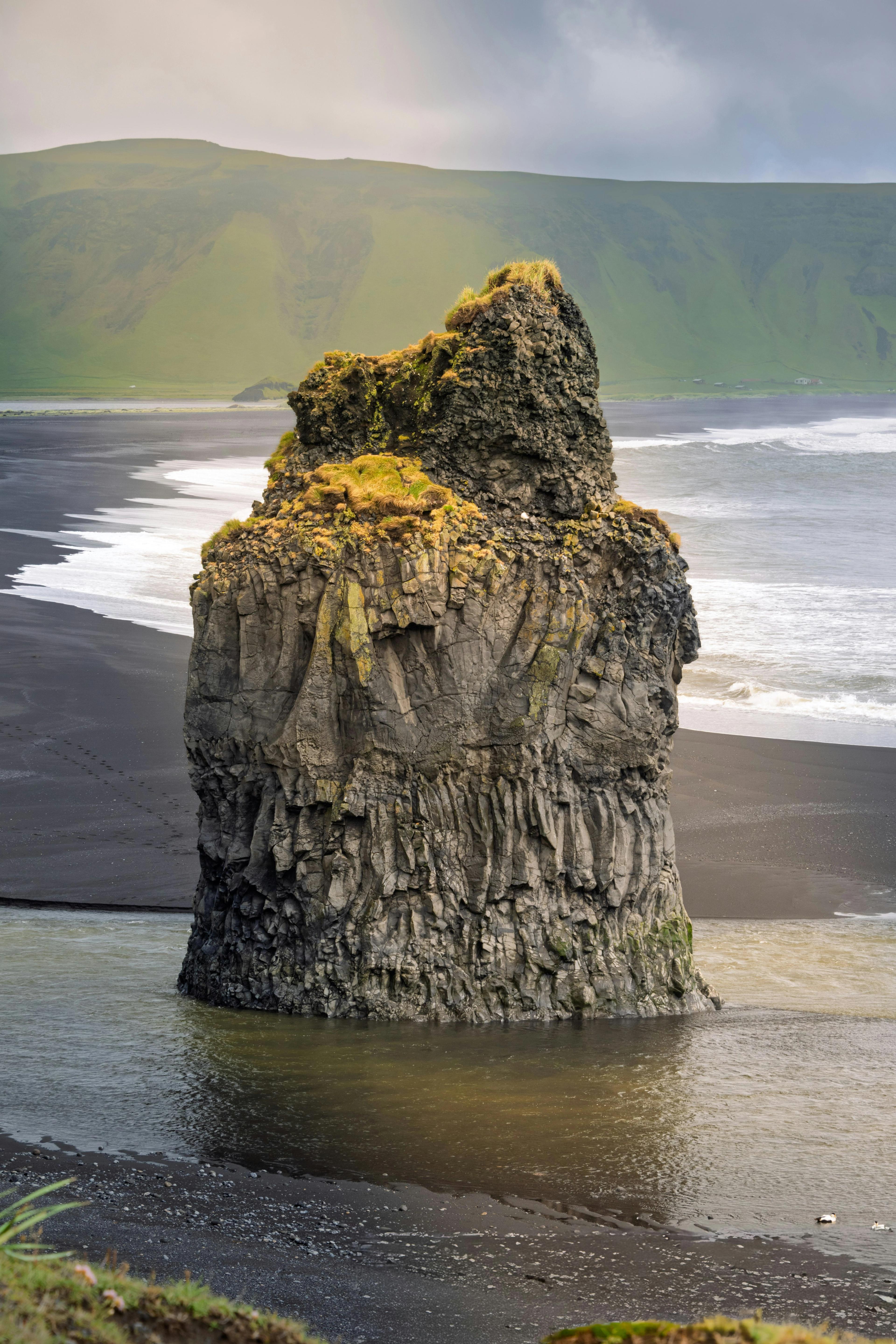 Playa de arena negra de Reynisfjara con formaciones rocosas y acantilados nevados
