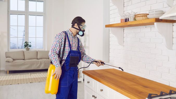 Are You or Your Landlord Responsible for Pest Problems?