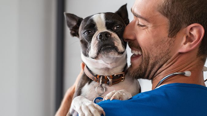 Pet Fees 101: Understanding the Costs of Renting with Pets
