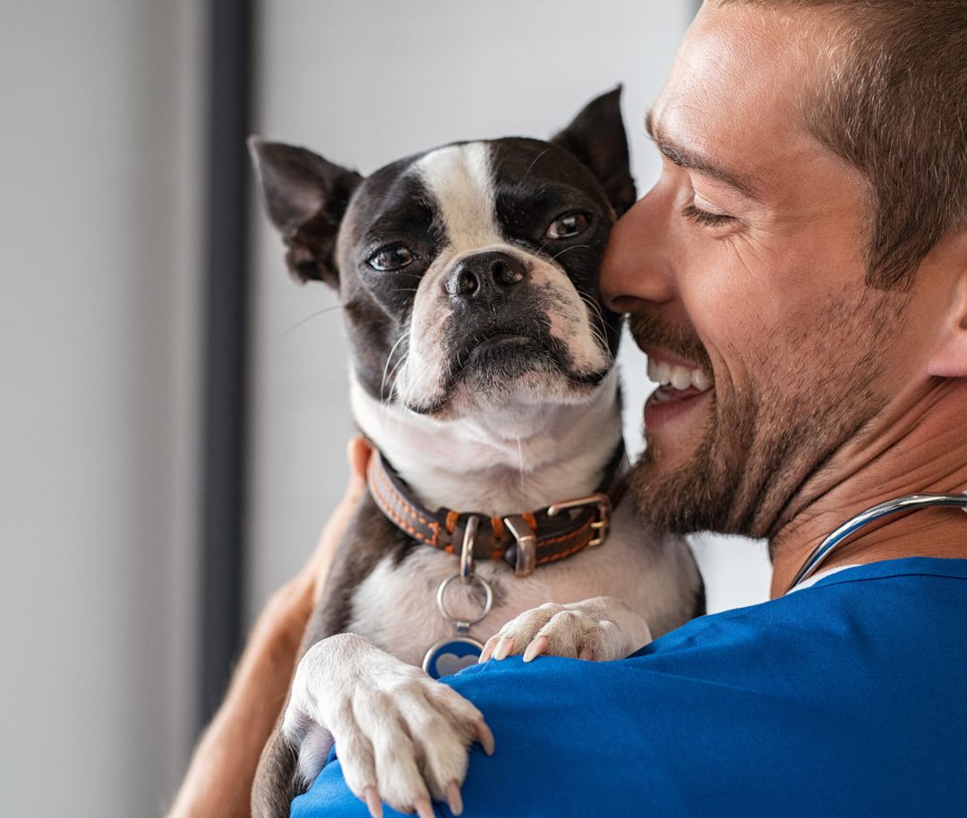 Pet Fees 101: Understanding the Costs of Renting with Pets