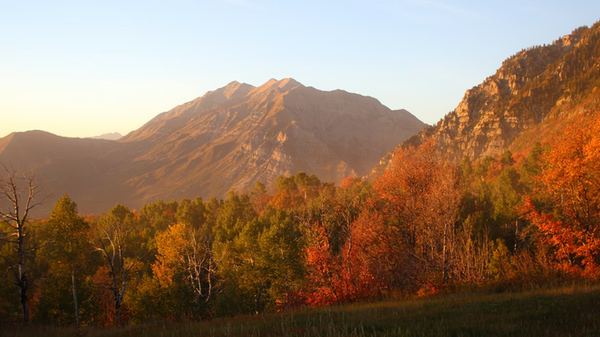 Best Neighborhoods for Outdoor Activities in Provo