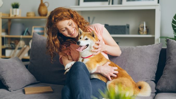 Pet-friendly Rentals in the Post-Pandemic World
