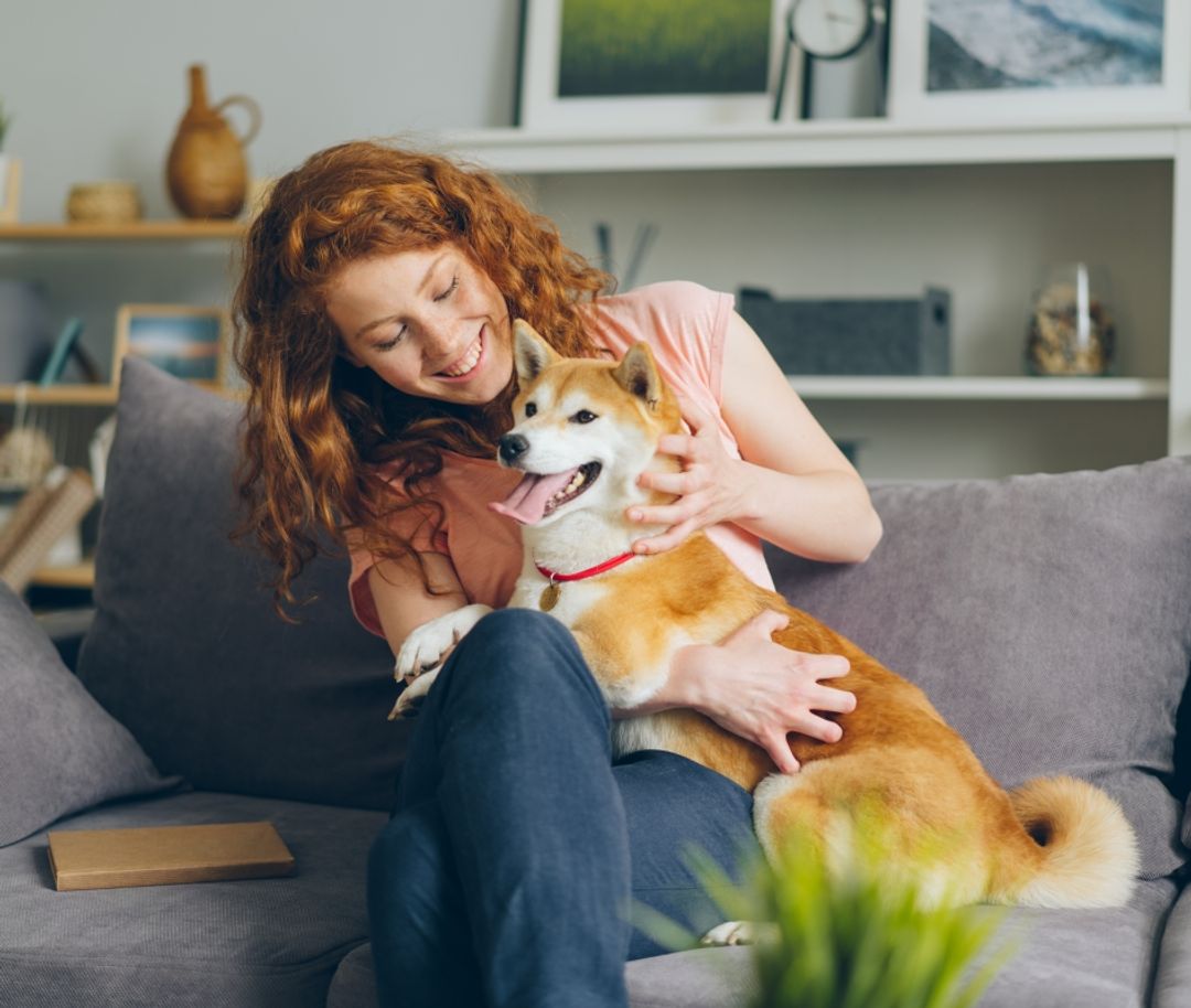 Pet-friendly Rentals in the Post-Pandemic World