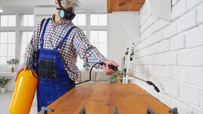 Tips for Keeping Rental Properties Pest-Free: Landlord Edition