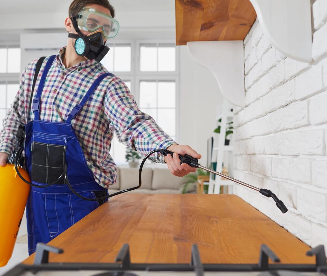 Tips for Keeping Rental Properties Pest-Free: Landlord Edition