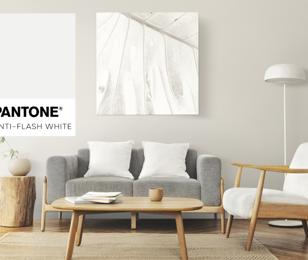 How Color Affects Your Home. Anti-Flash White