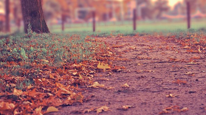 home-decor-projects-for-fall