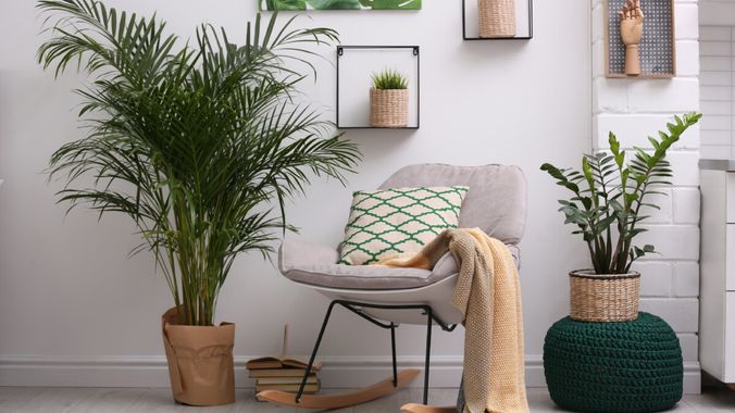 Budget Décor Ideas for Small Rental Homes