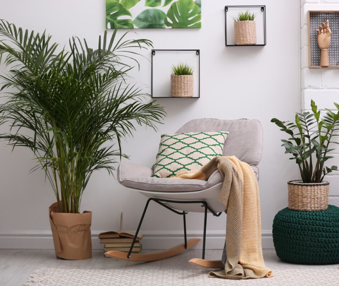 Budget Décor Ideas for Small Rental Homes