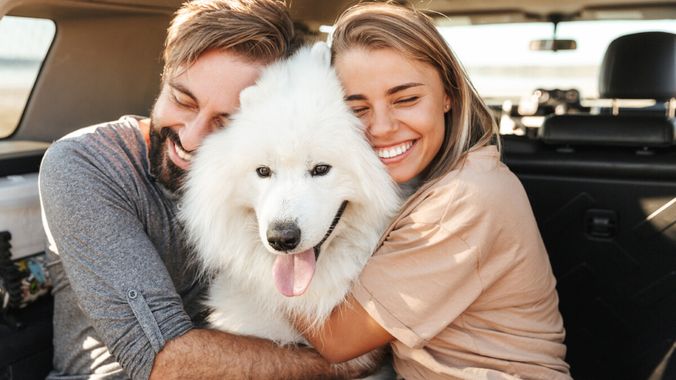 The Ultimate Guide to Moving with Your Dog