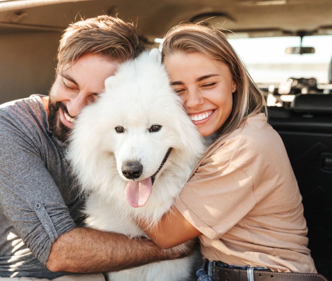 The Ultimate Guide to Moving with Your Dog