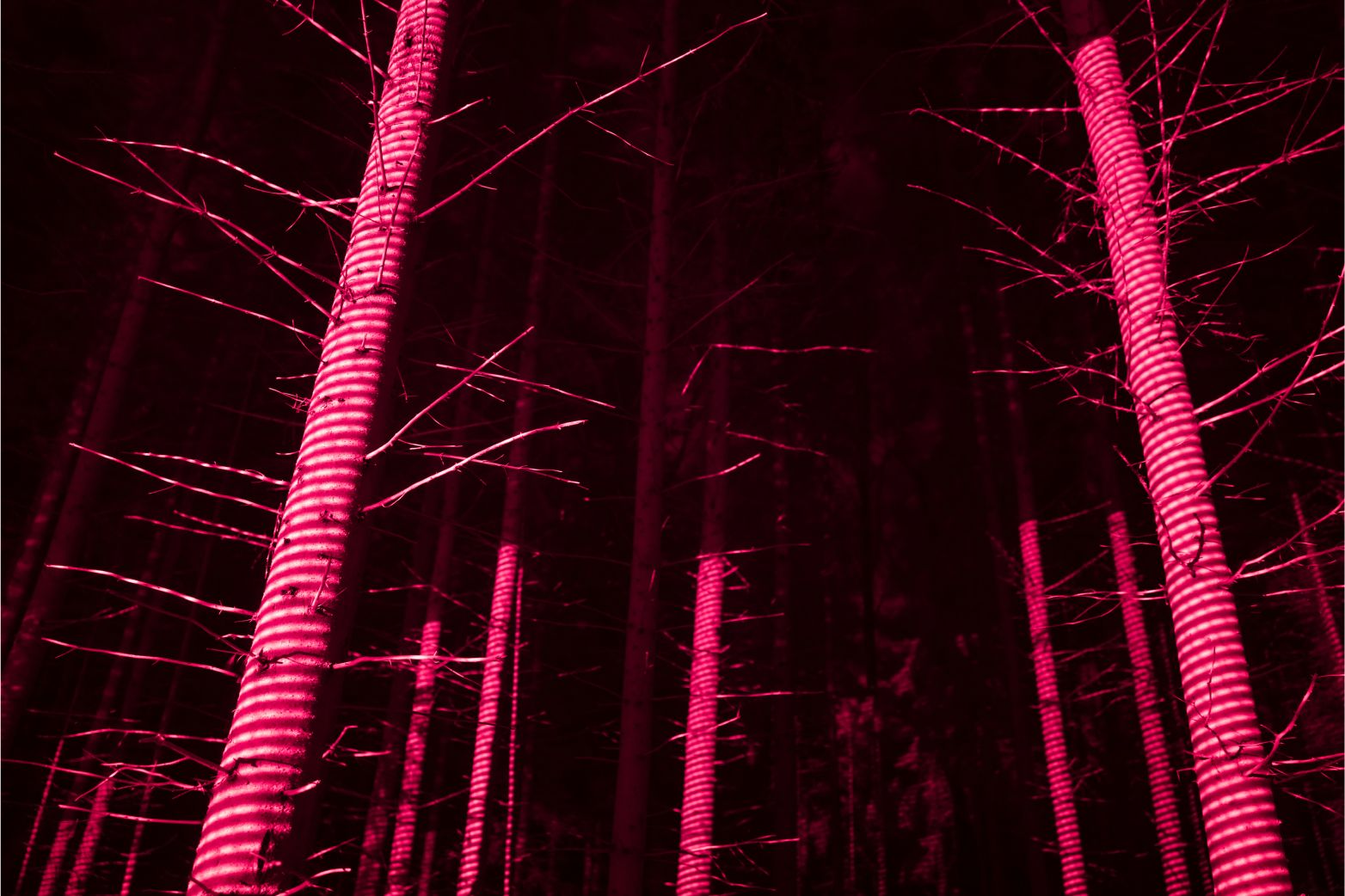01 Ouster Case Study Deep Forestry06