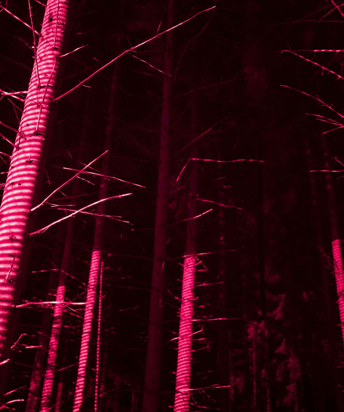 01 Ouster Case Study Deep Forestry06