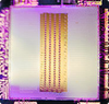 L2 X Chip thumbnail