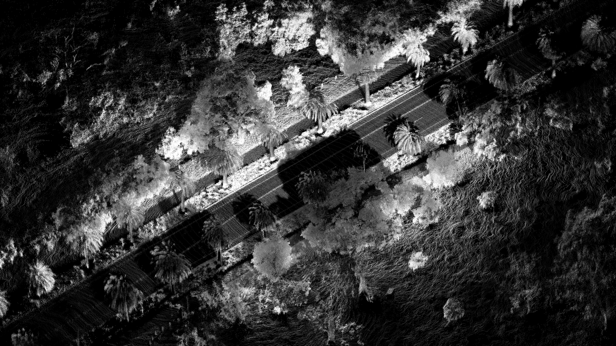 OS2 Palm Drive topview monochrome