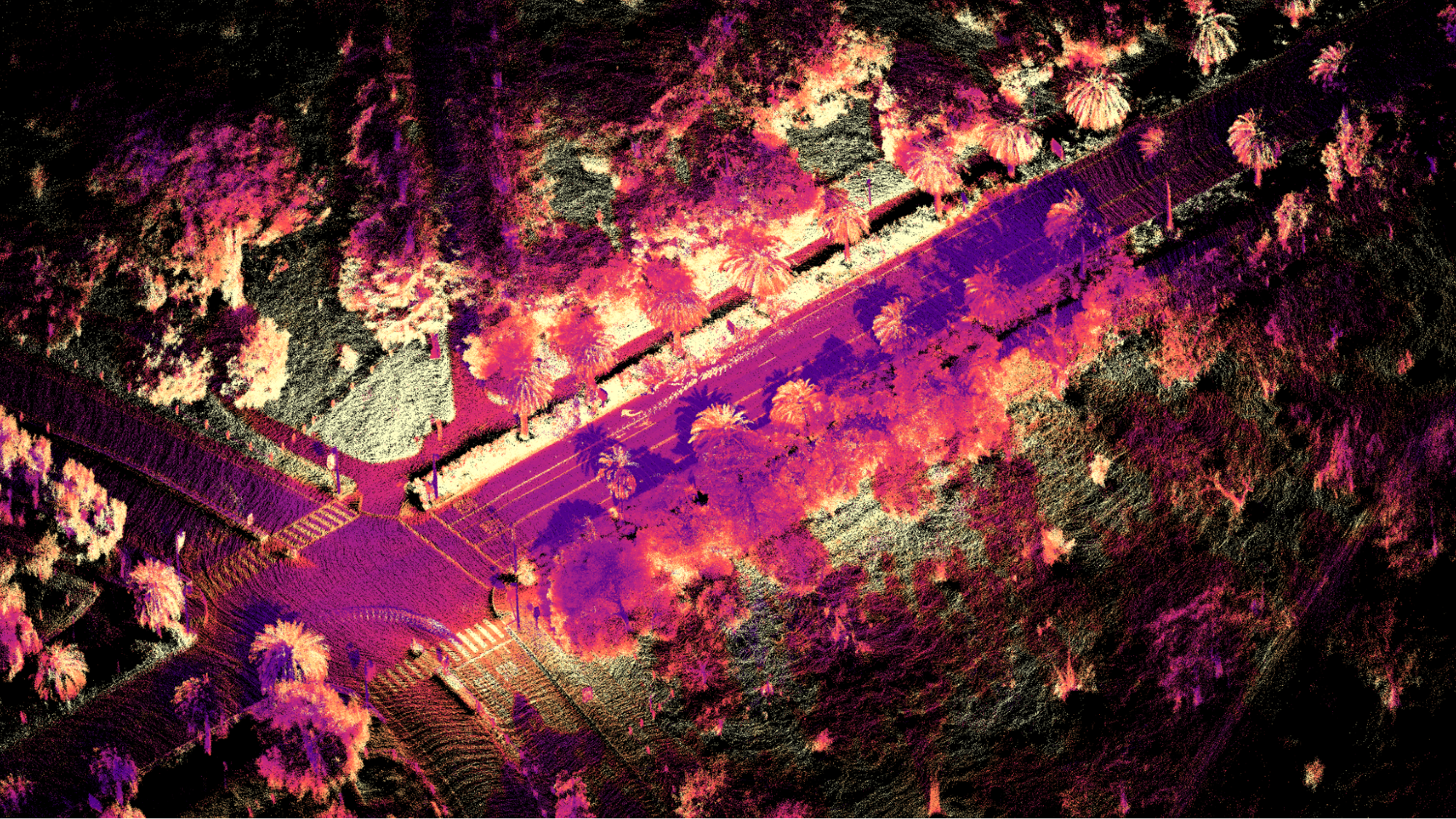 Image7
