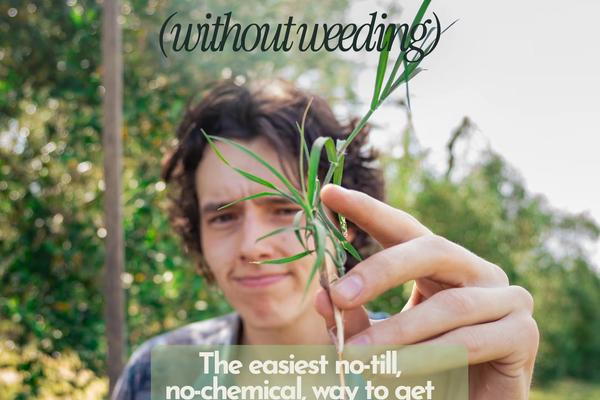 Get rid of weeds <em>(without weeding)</em>