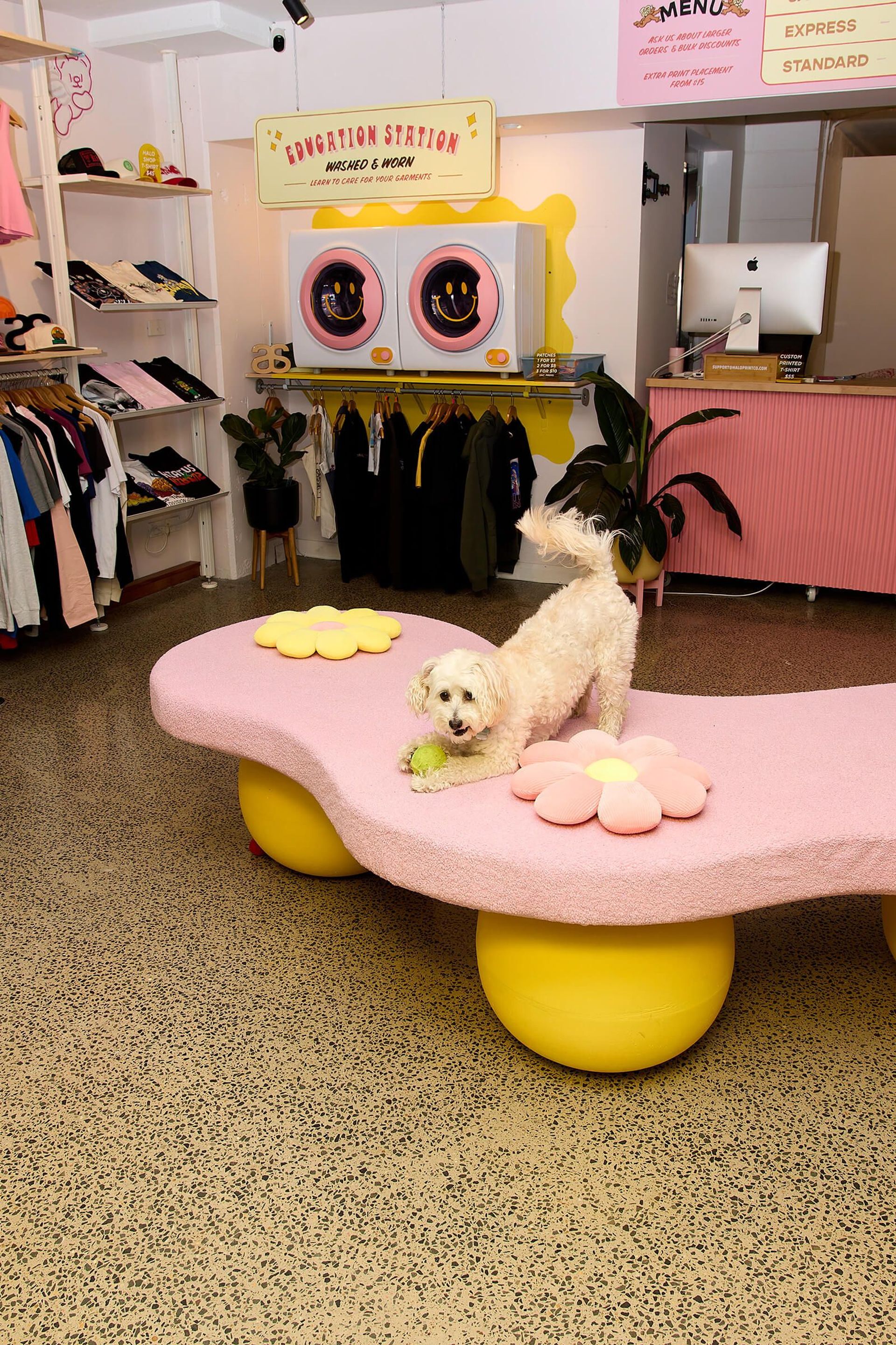 A dog inside the Halo Print store