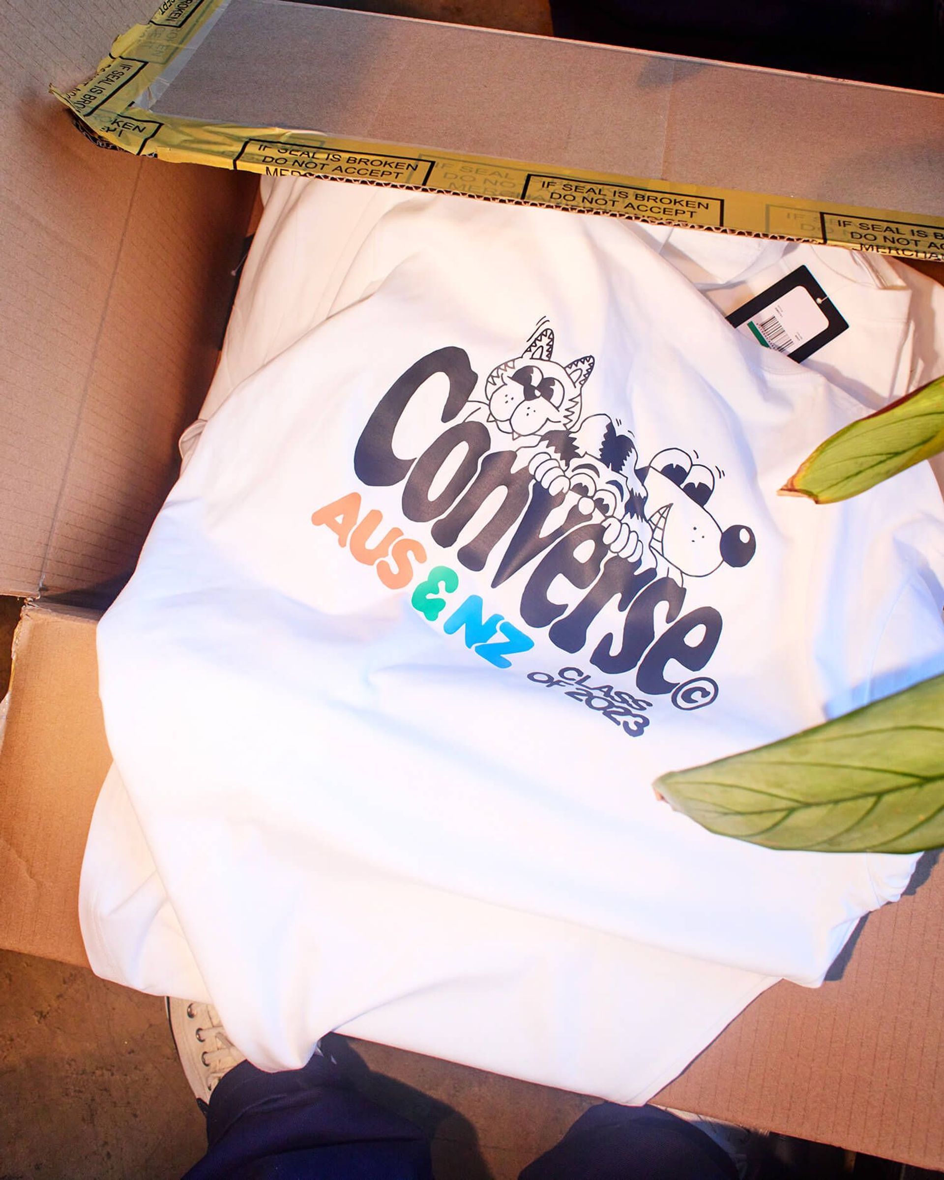 Converse branded shirt in a box