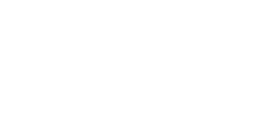 Red Wing Shoes