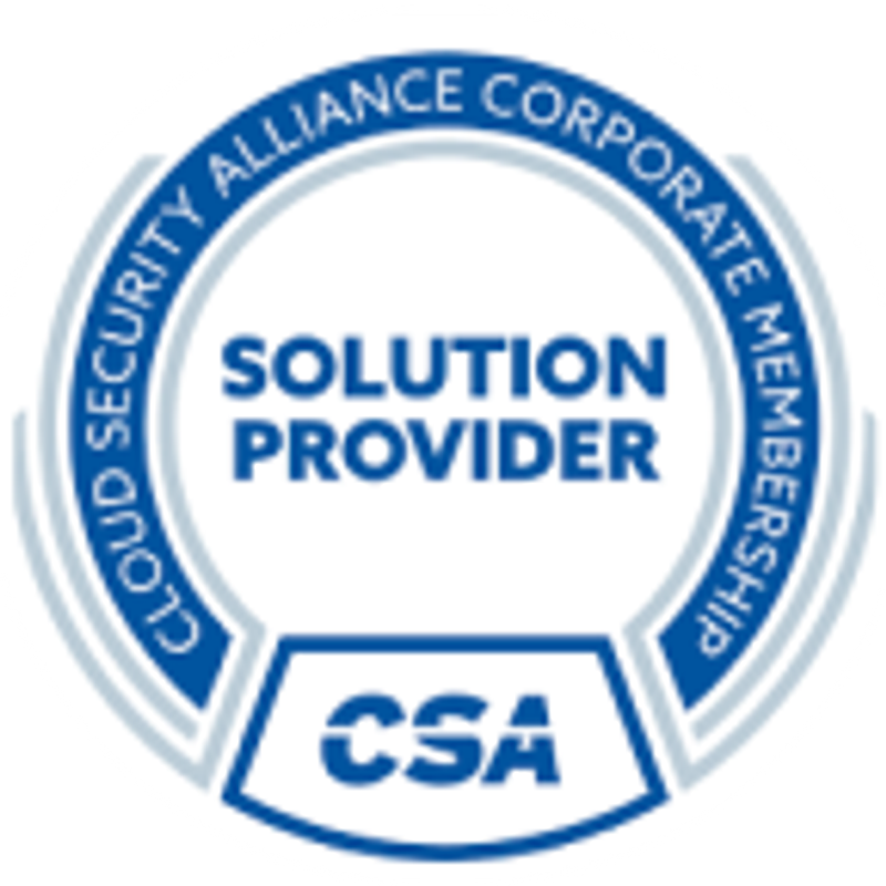 solution provider