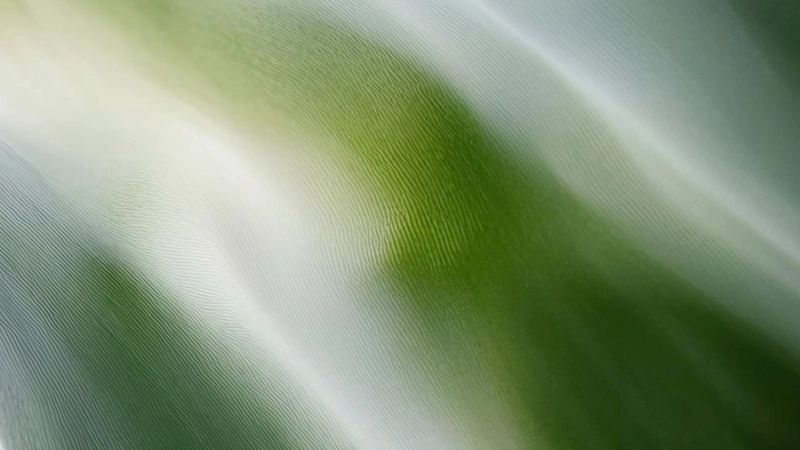 expert form background