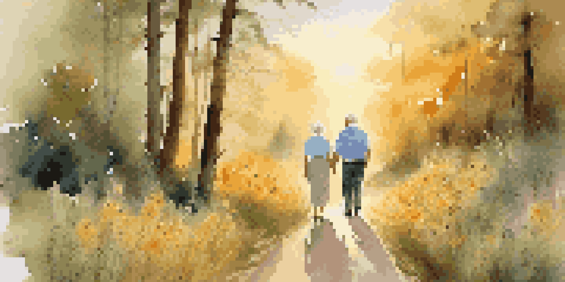 A senior couple walking hand-in-hand on a nature trail, surrounded by flowers and trees during sunset.